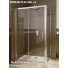 Drzwi-prysznicowe-100x190-Radaway-PREMIUM-PLUS-DWJ-80995