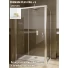 Drzwi-prysznicowe-110x190-Radaway-PREMIUM-PLUS-DWJ-fabric-96834